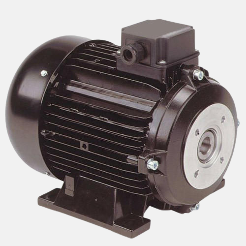 Hollow Shaft Motor